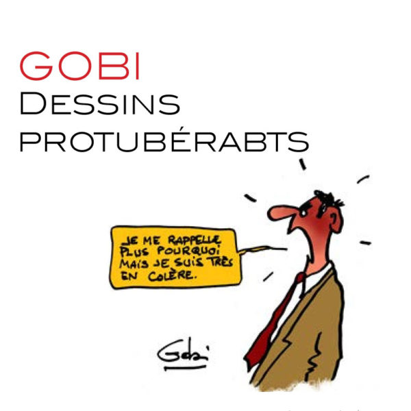 Gobi001